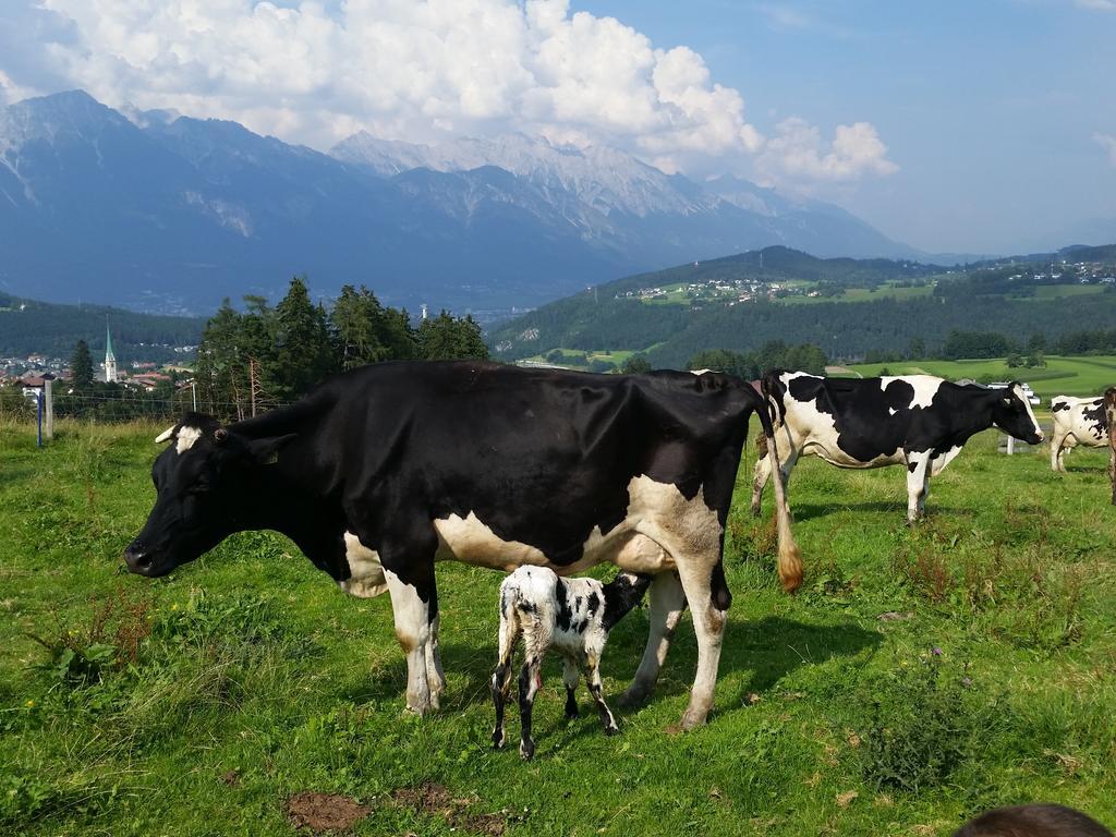 Ferienwohnung Stillerhof Innsbruck Zimmer foto
